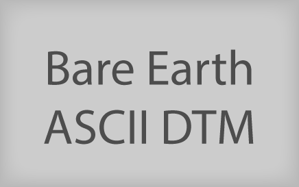 Bare Earth ASCII DTM